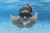 Набор для плавания "Spark Wave" от 14 лет (Bestway 24068 BW) Набор для плавания "Spark Wave" от 14 лет (Bestway 24068 BW)