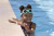 Очки для плавания "Aquashade Goggles", от 3 лет (Bestway 21178 BW) Очки для плавания "Aquashade Goggles", от 3 лет (Bestway 21178 BW)