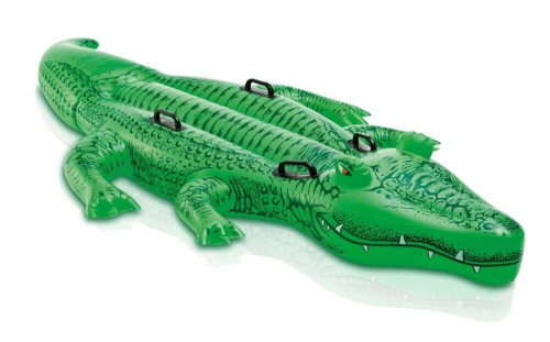 58562