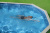 Стальной бассейн Bestway Hydrium Oval Pool 610х360х120 см + песочный ф/насос 5678 л/ч, лестница, тент, подстилка (56369 BW)